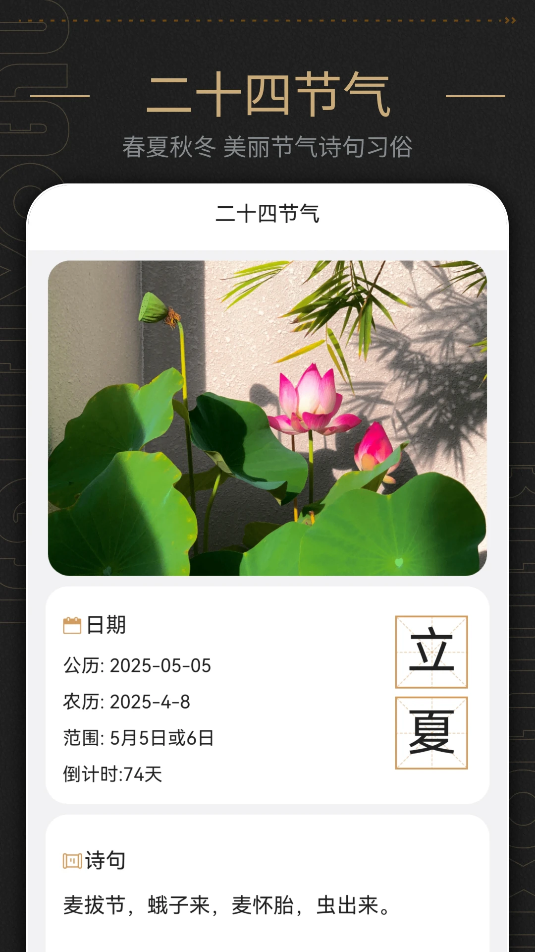 日历表截图