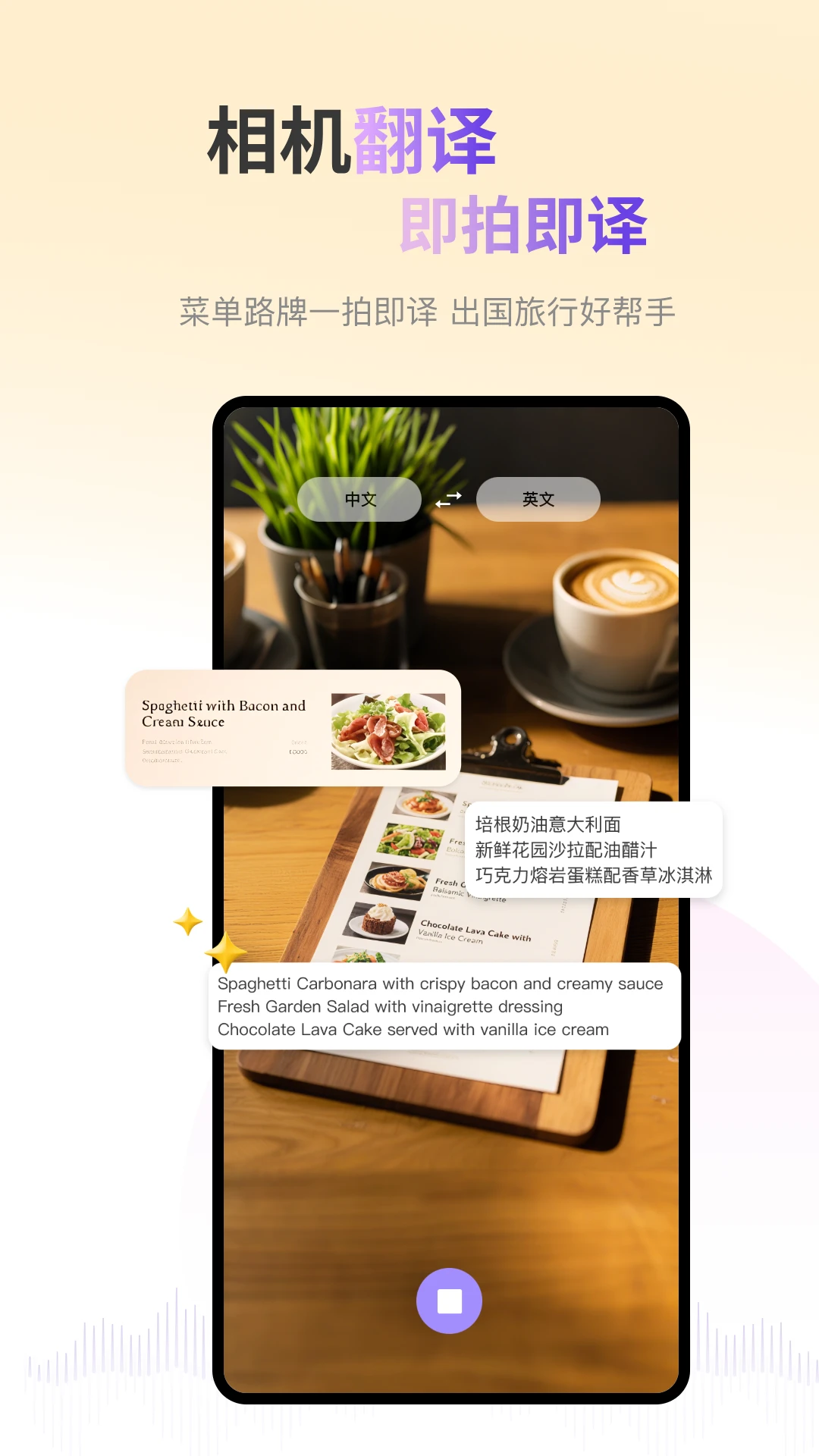 ViiTor实时翻译截图