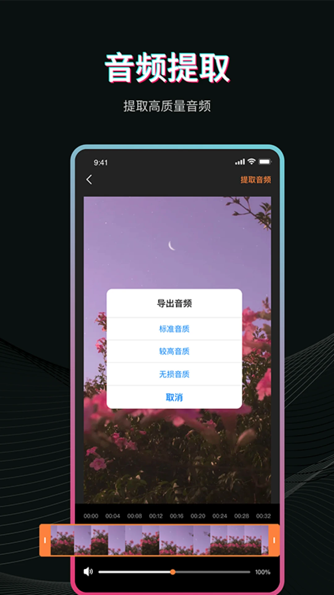 Pr视频剪辑截图