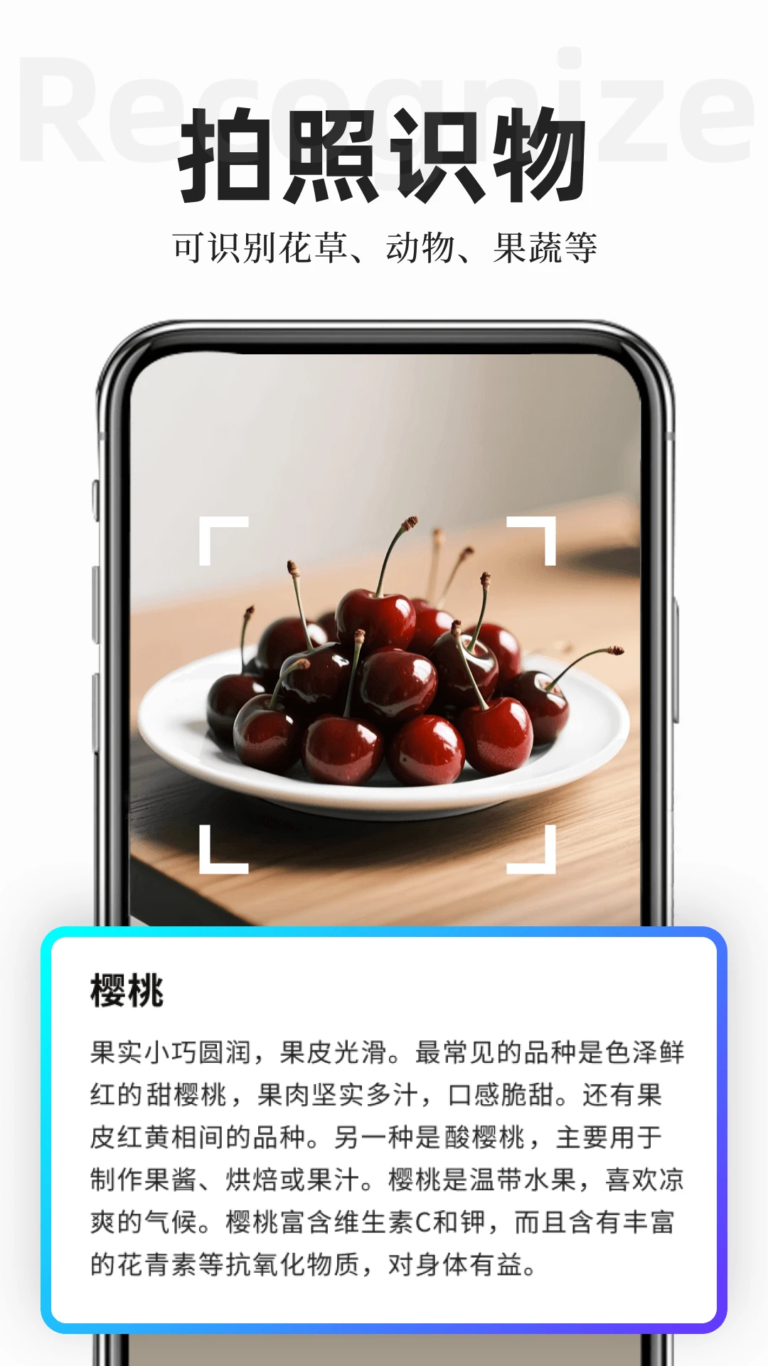 扫描专家截图