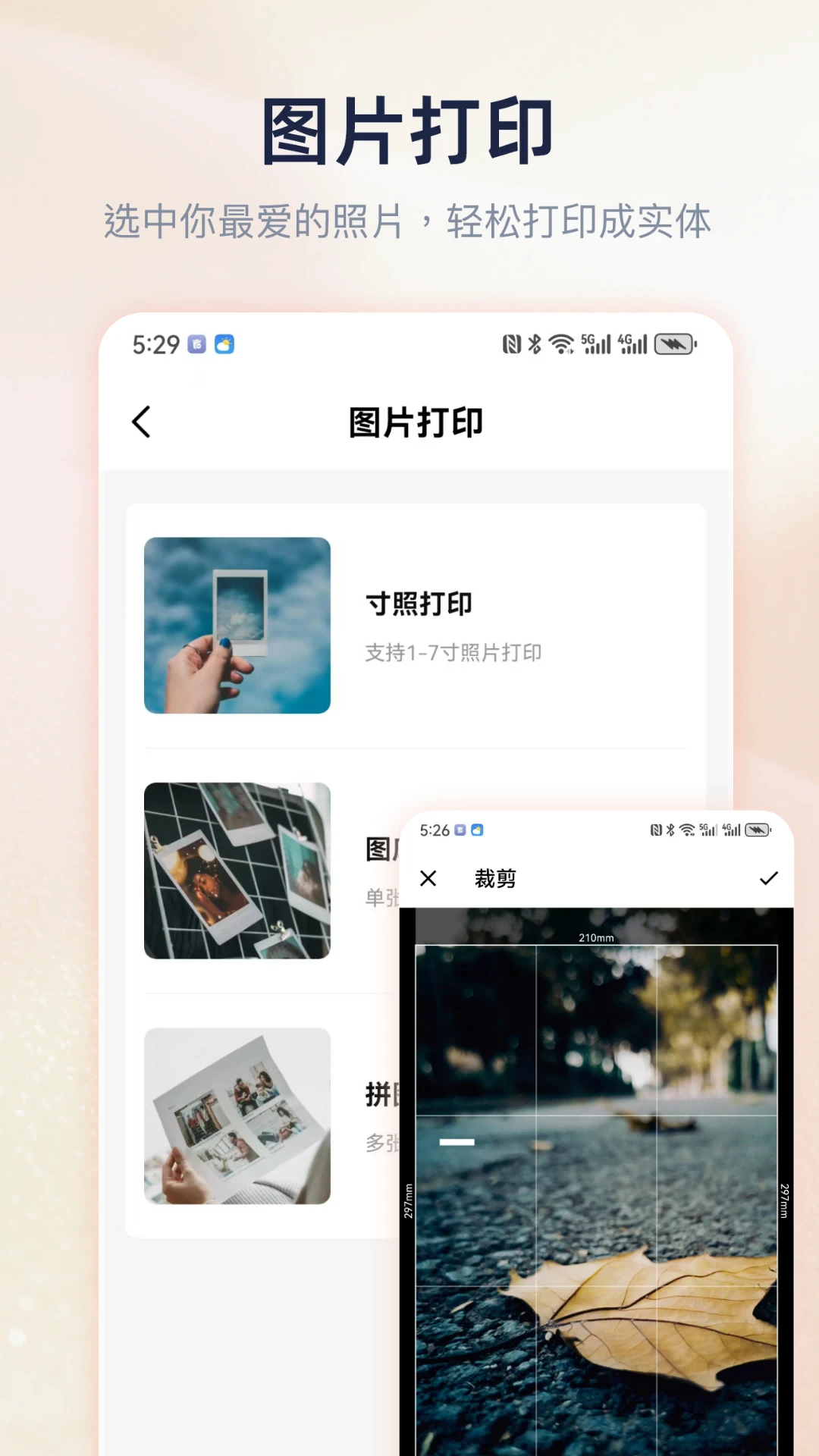Cam PRINT截图