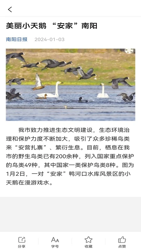 南阳政务截图