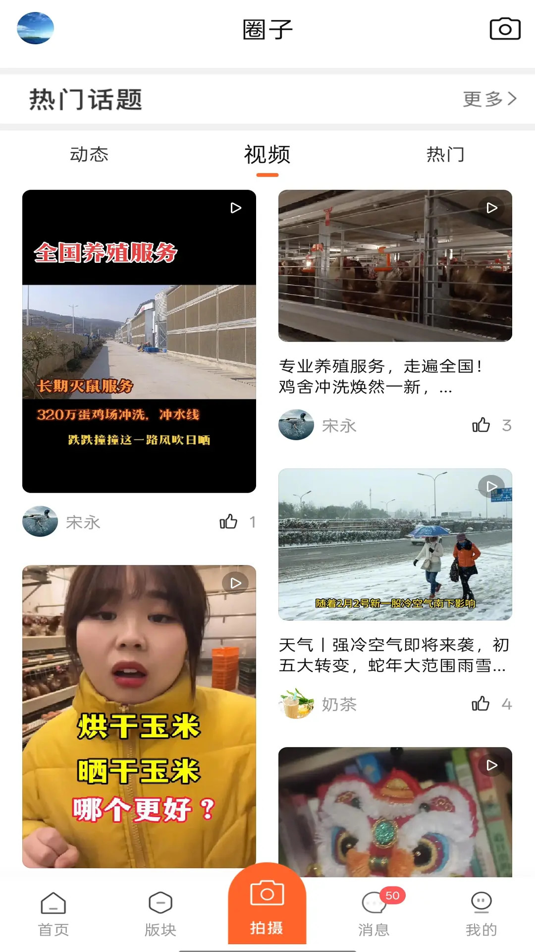 鸡病专业网论坛截图