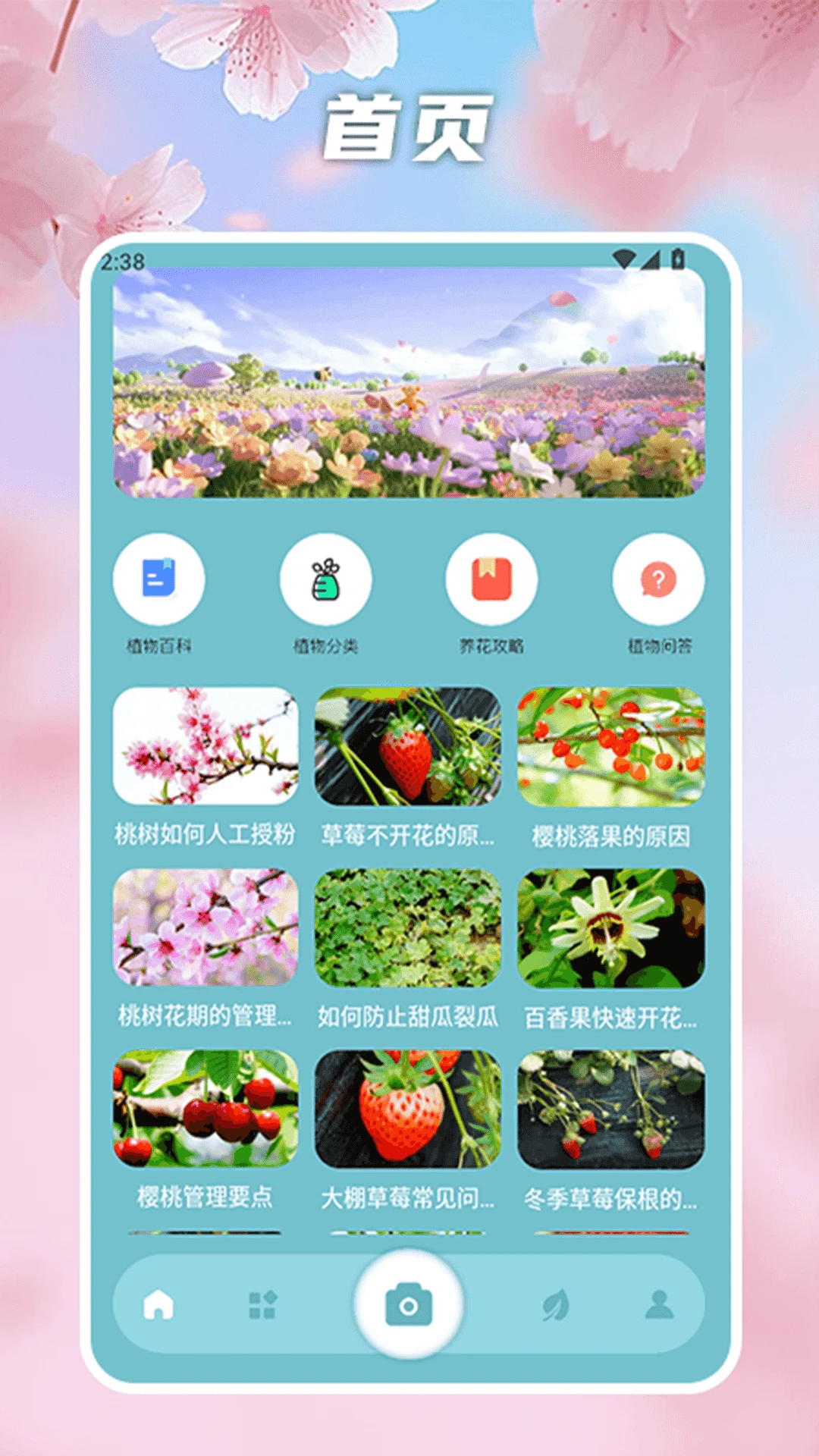 花开物语识别截图