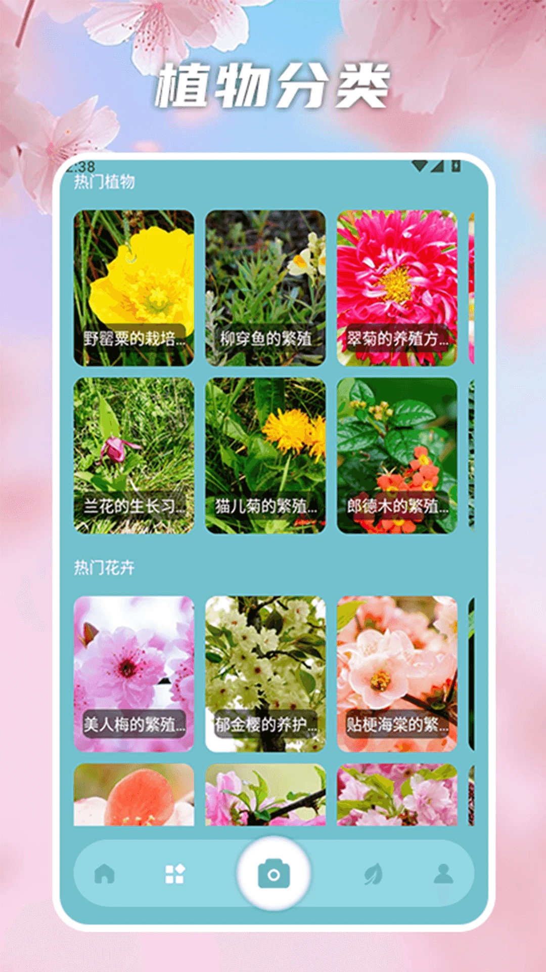 花开物语识别截图