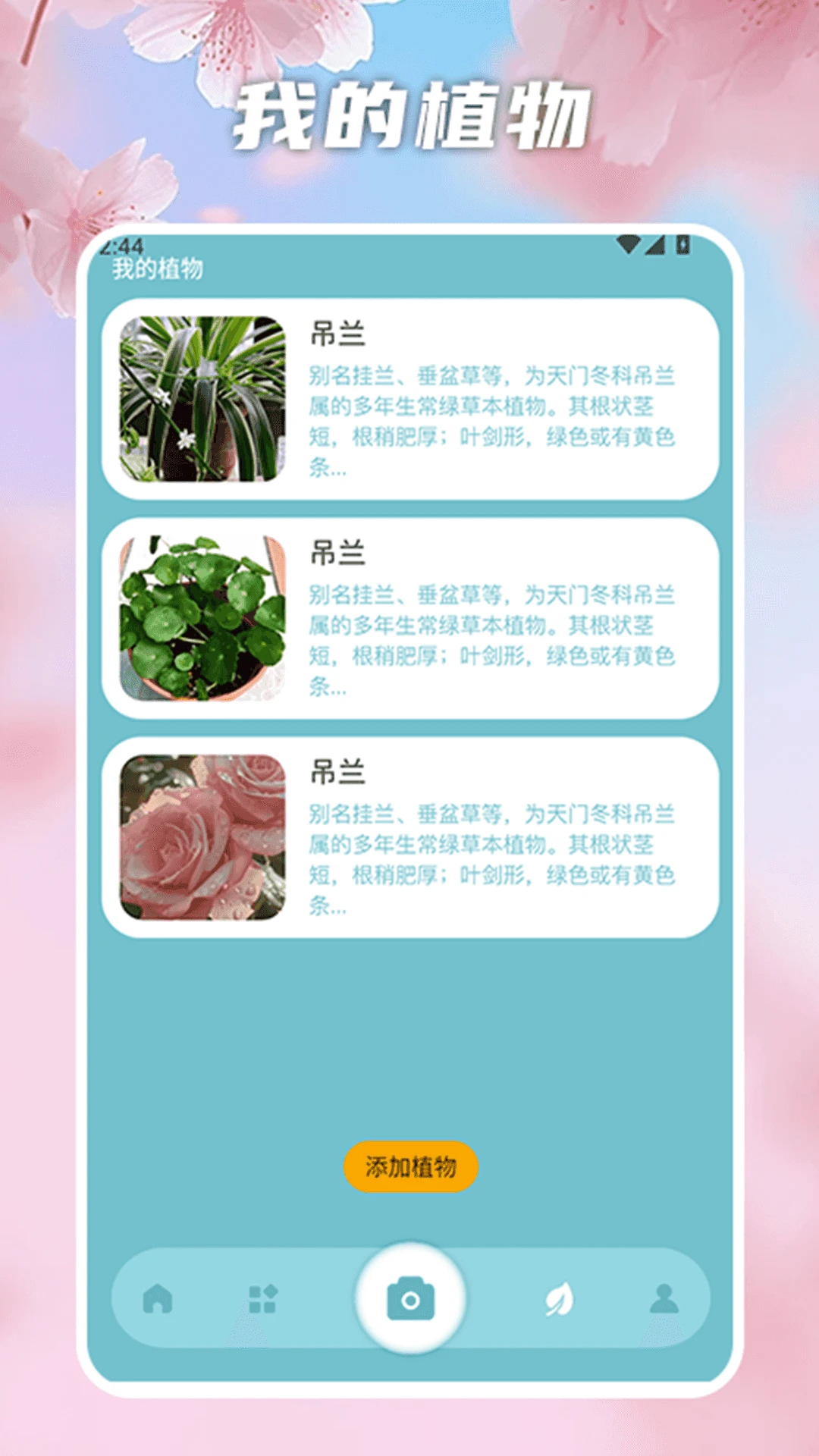 花开物语识别截图