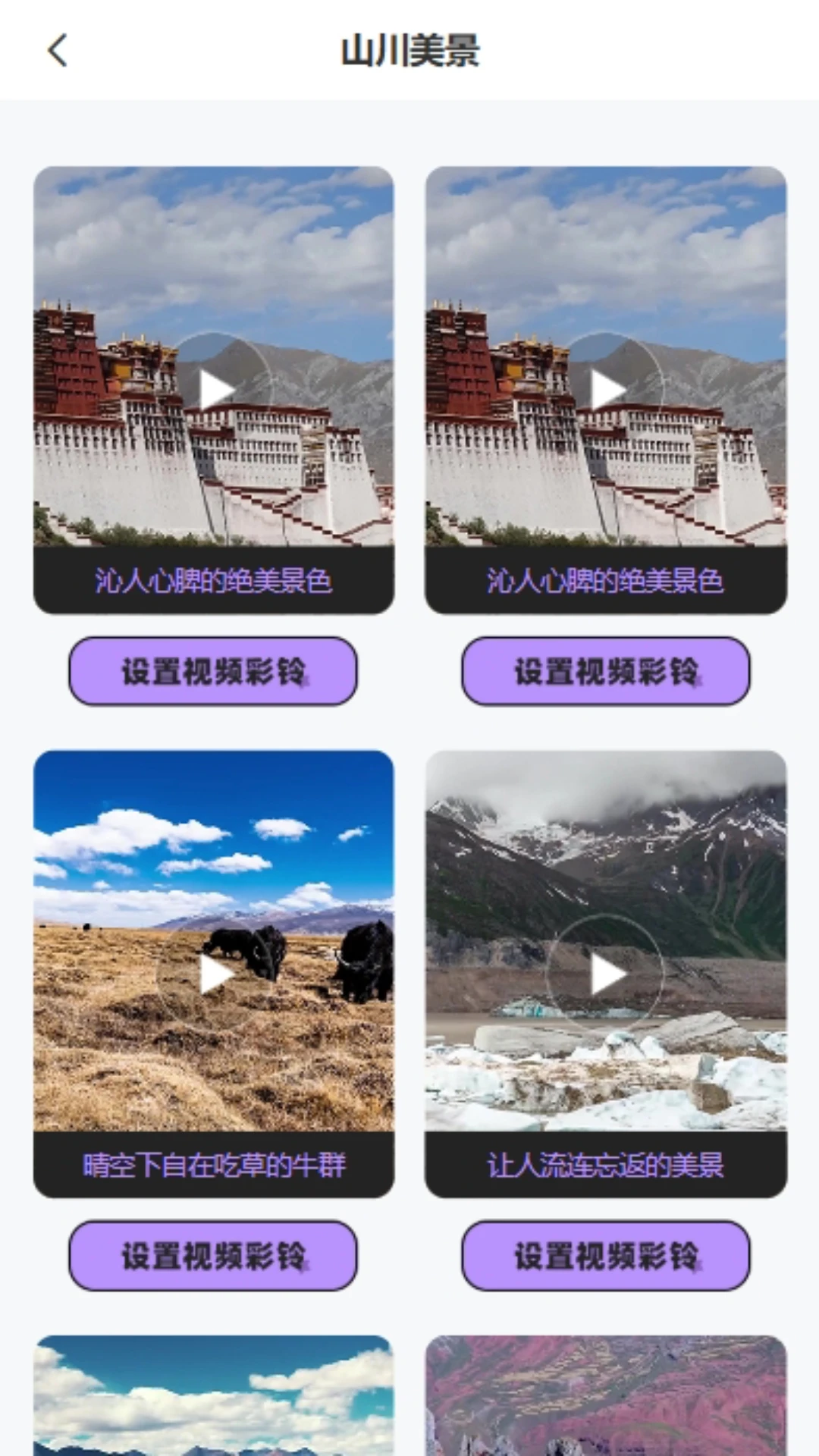 百分音乐平台截图