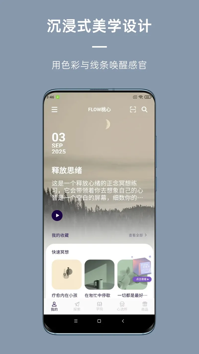 FLOW心流所截图
