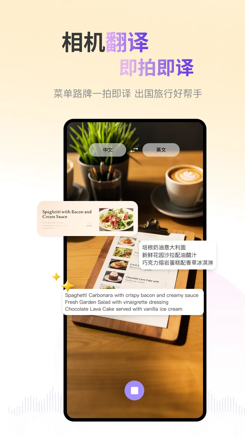 ViiTor实时翻译截图