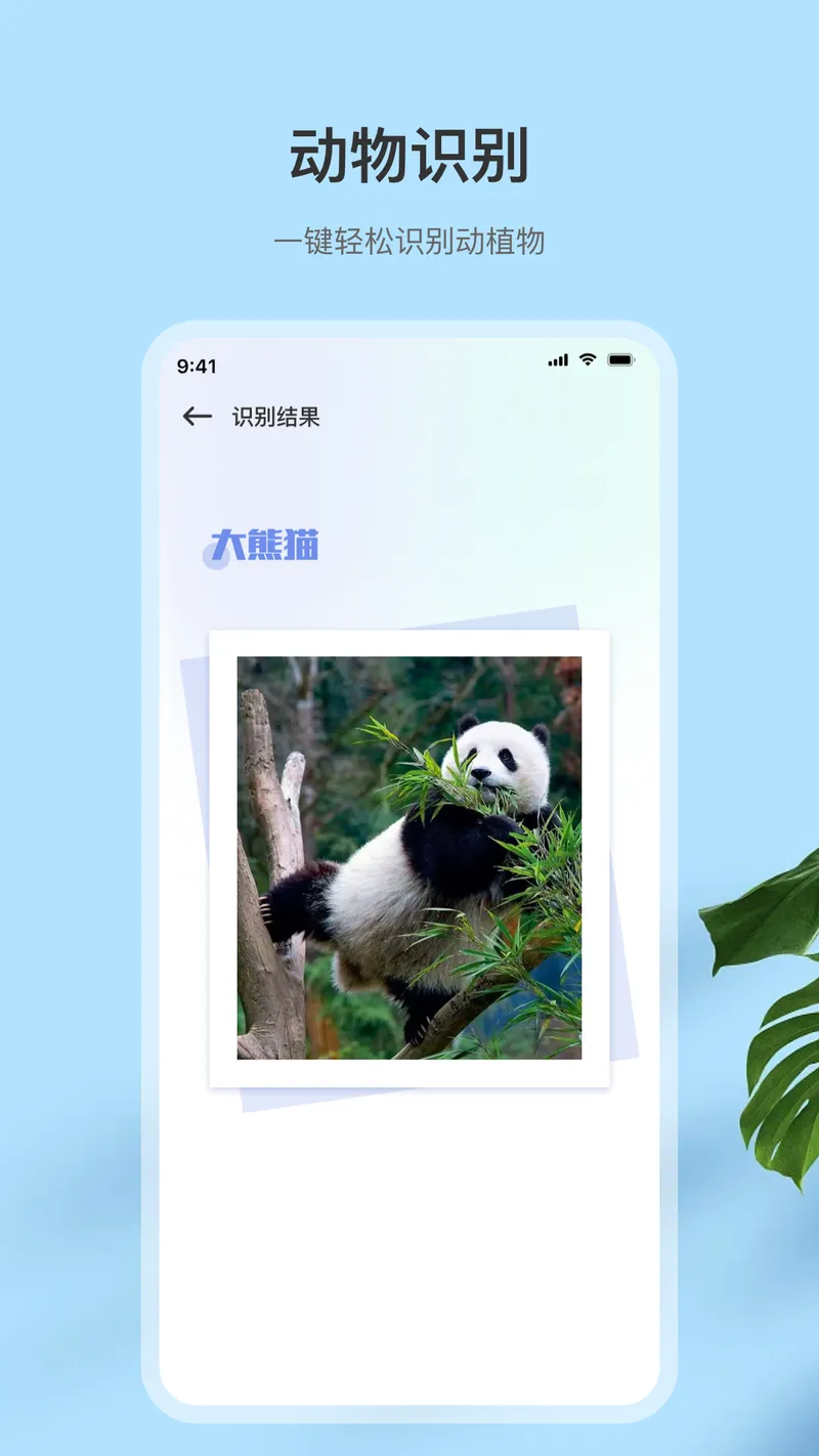 扫描全截图