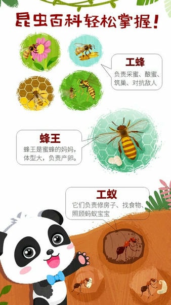 奇妙昆虫世界截图
