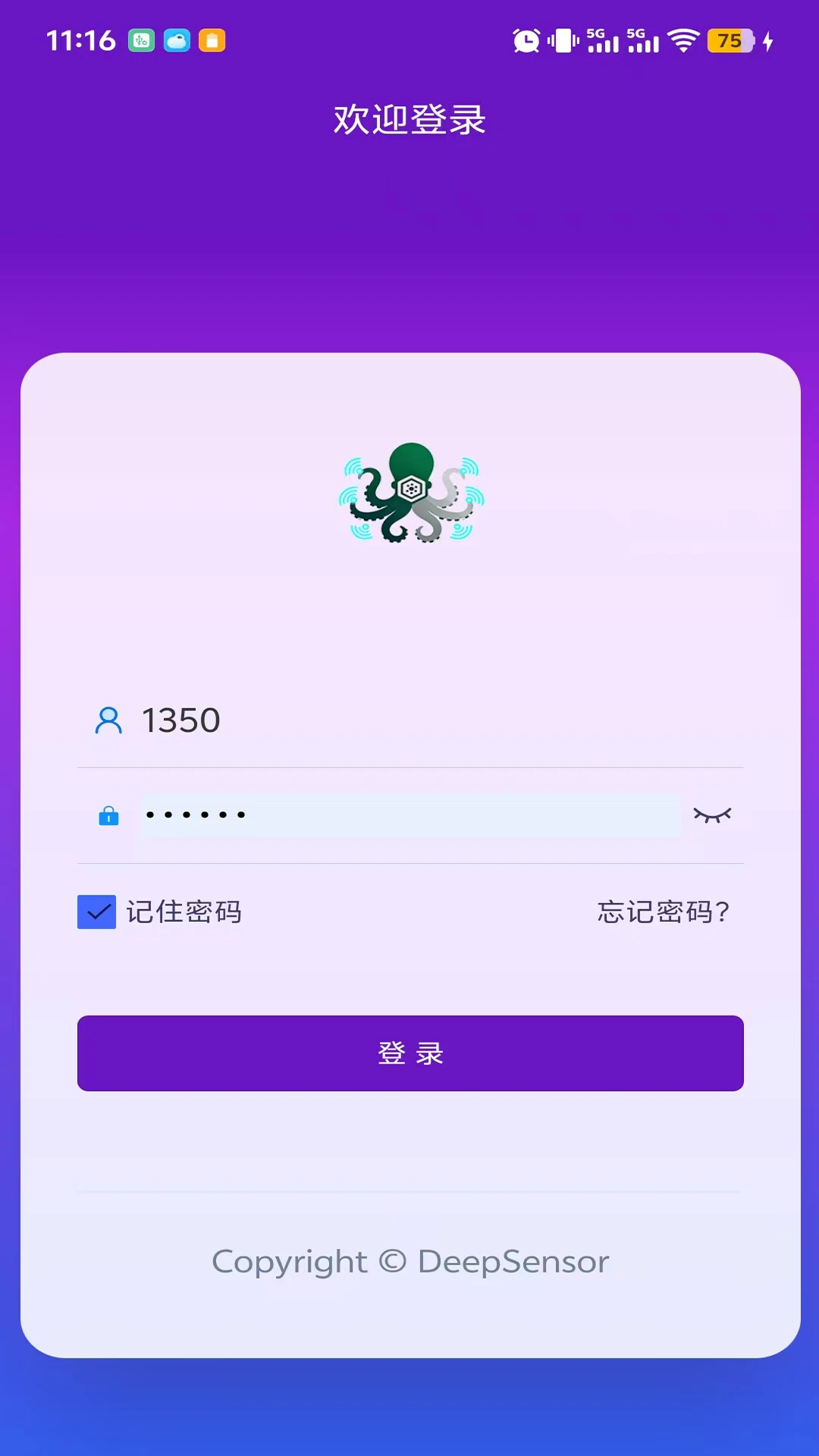 DeepSensor截图