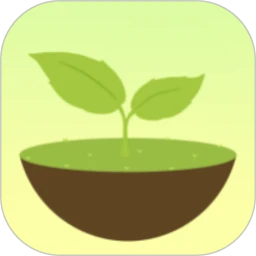 专注番茄