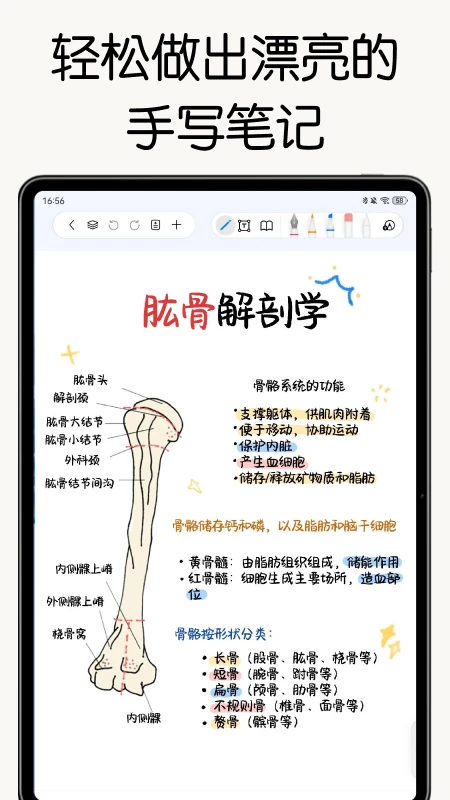 自由笔记截图