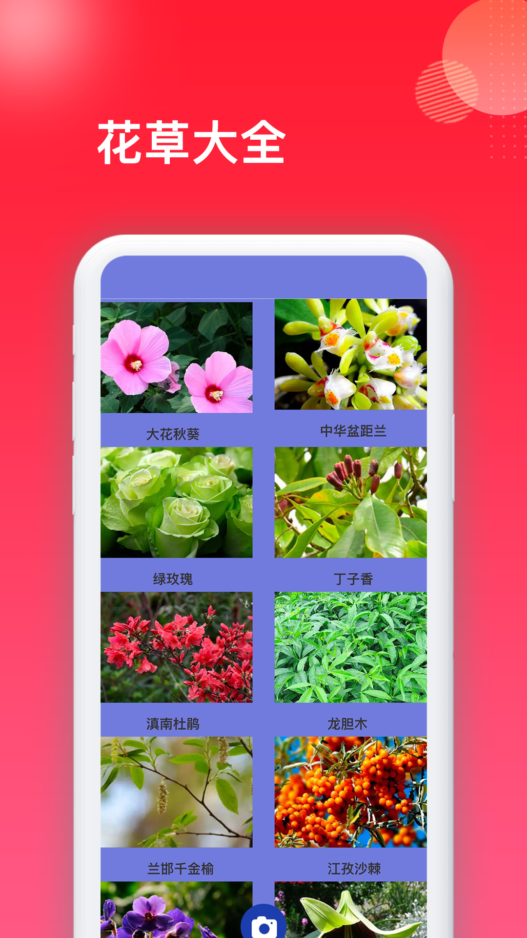 花百科截图