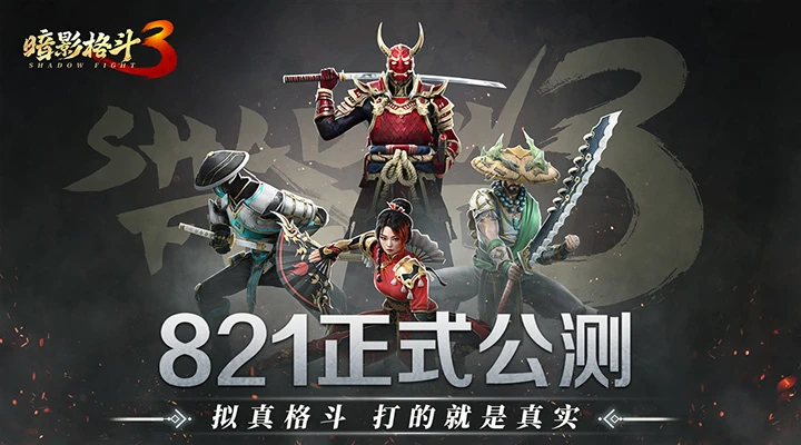 暗影格斗3截图