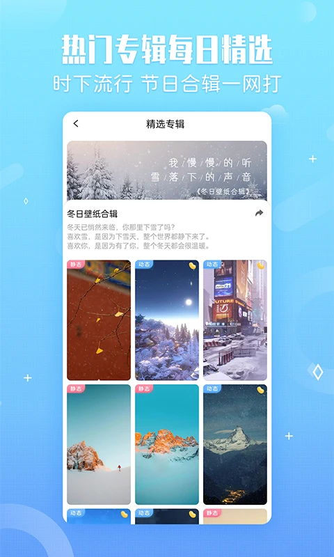 小鸟壁纸截图