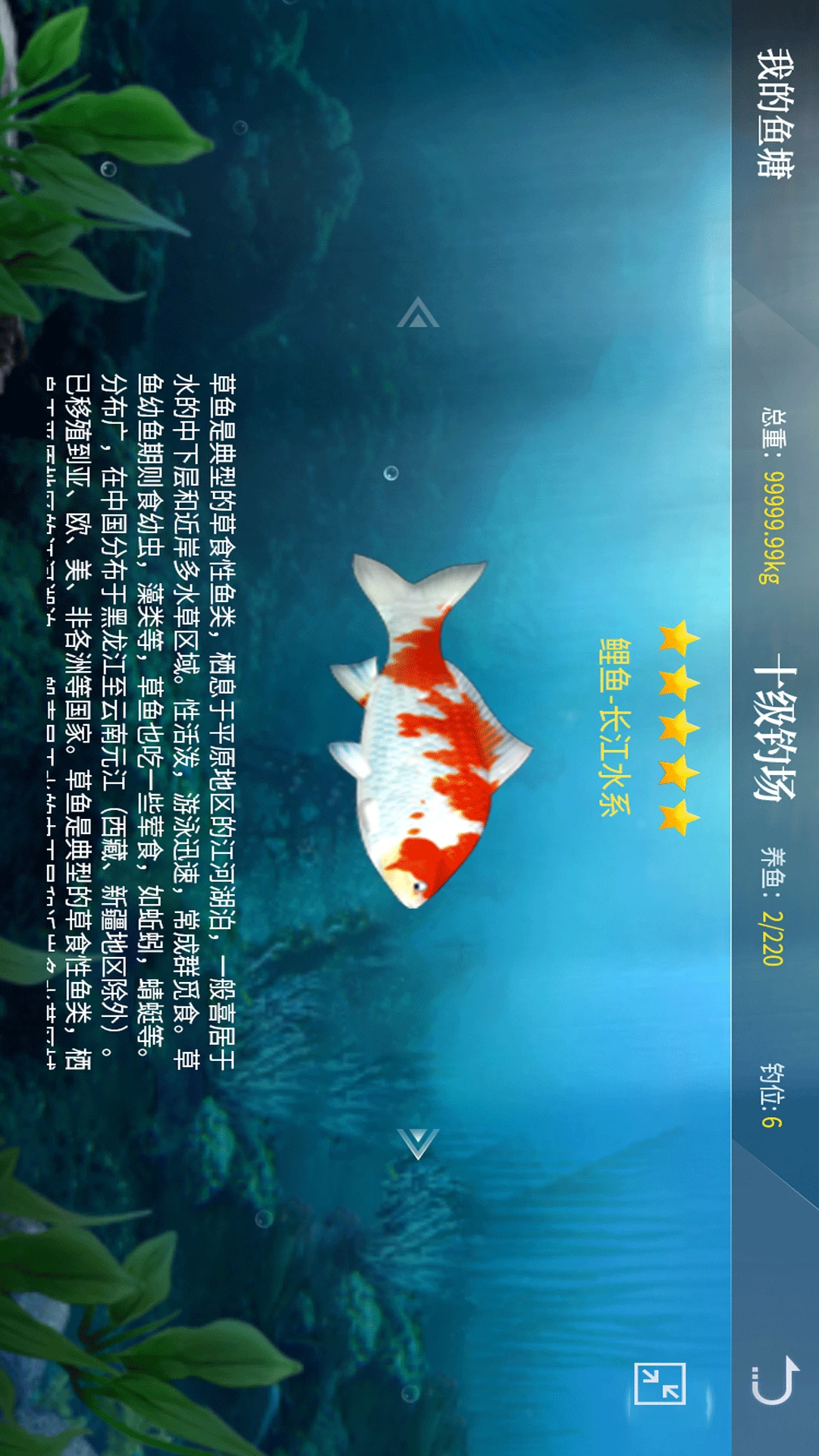 垂钓宗师截图