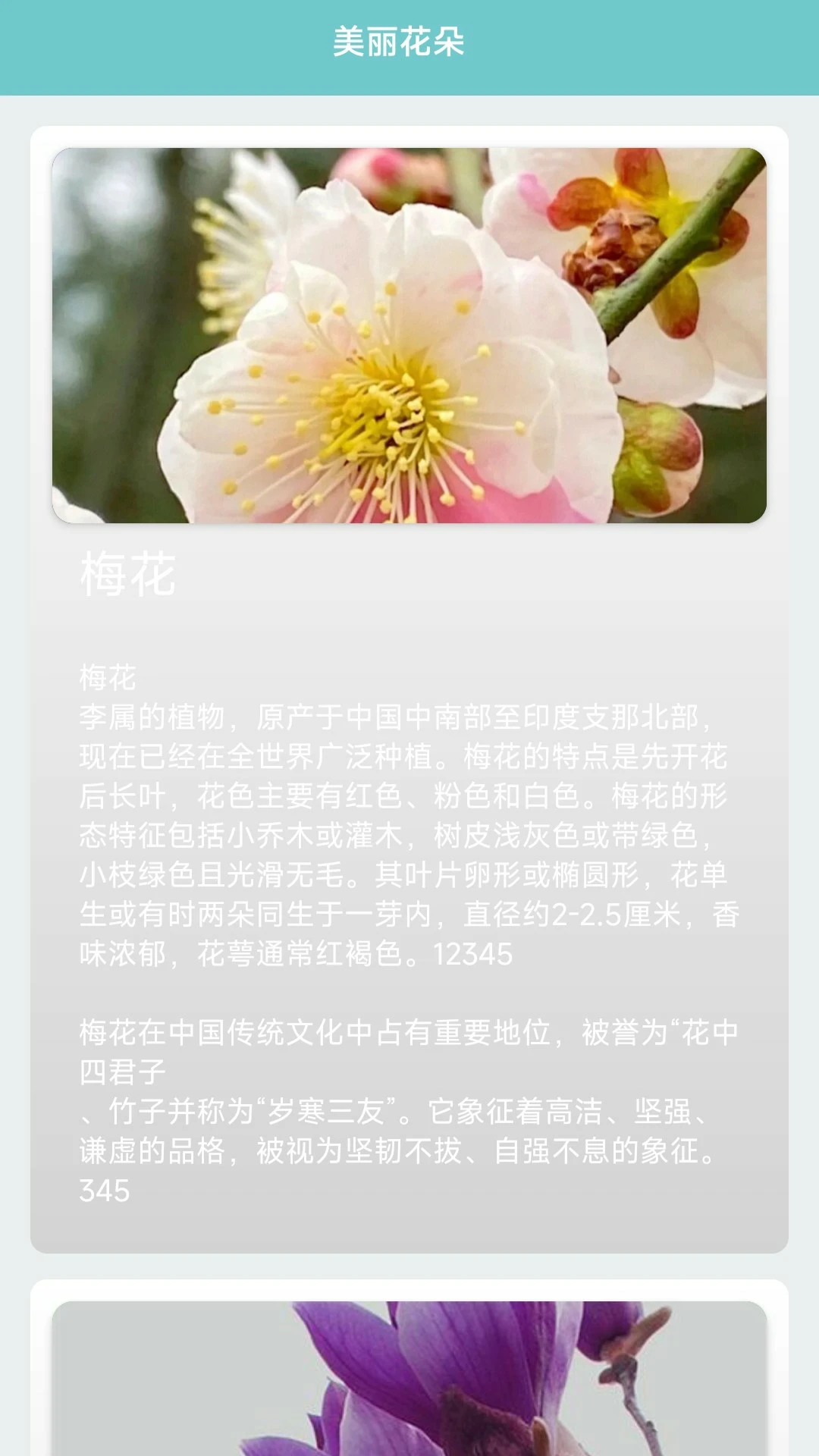 我的花店截图