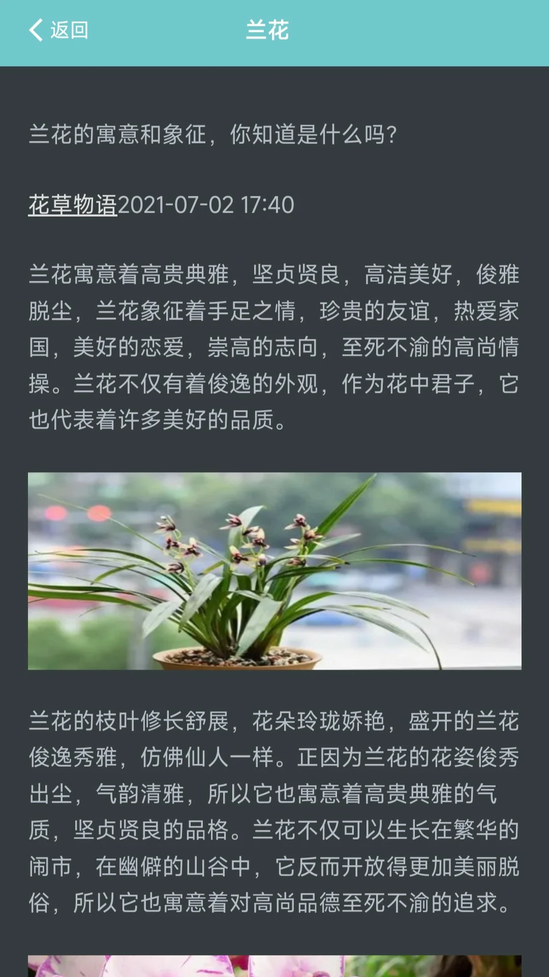 我的花店截图