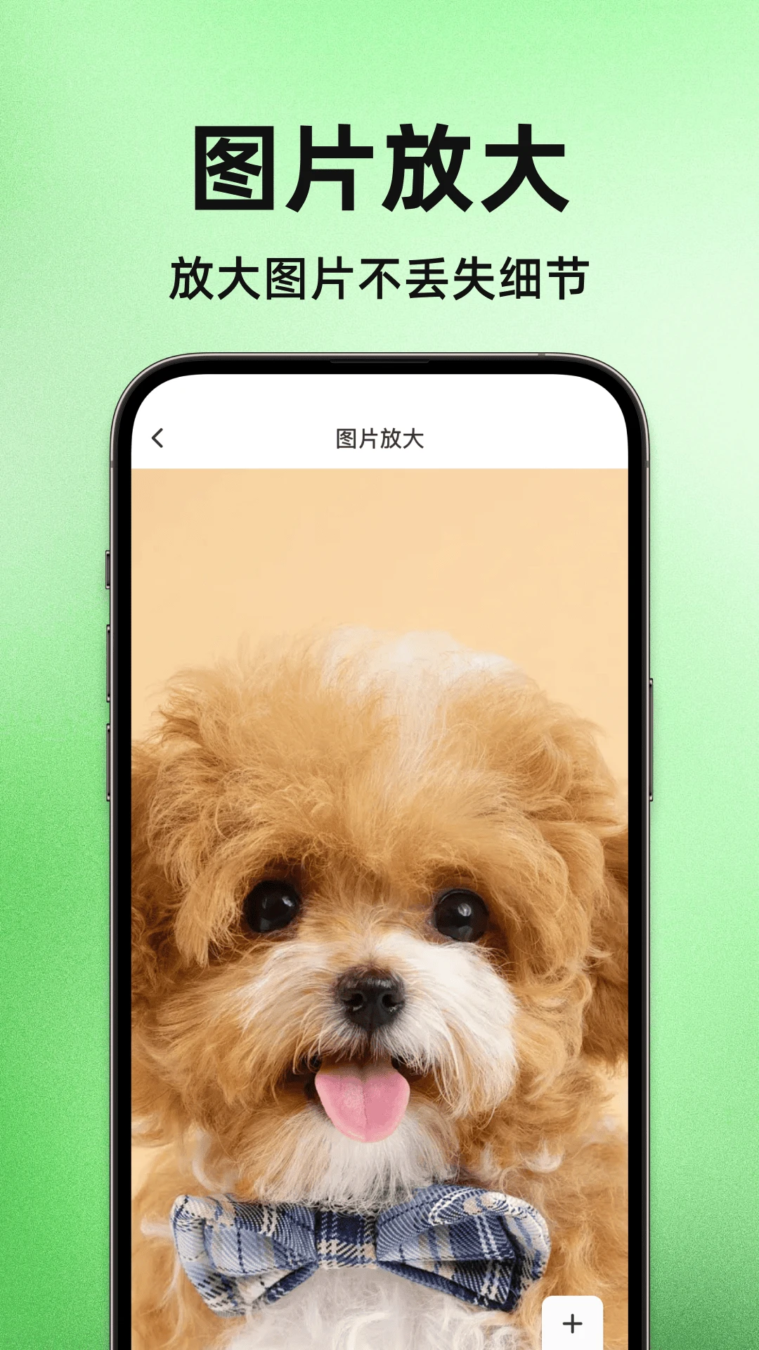 字体放大超级大截图