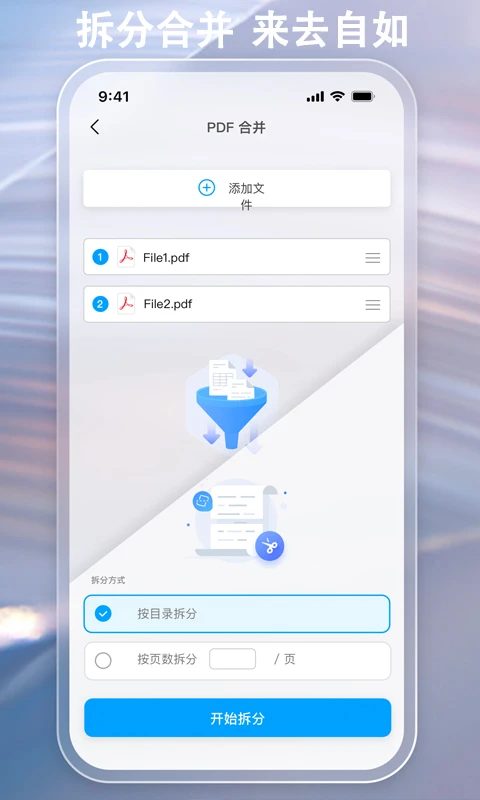金闪PDF截图