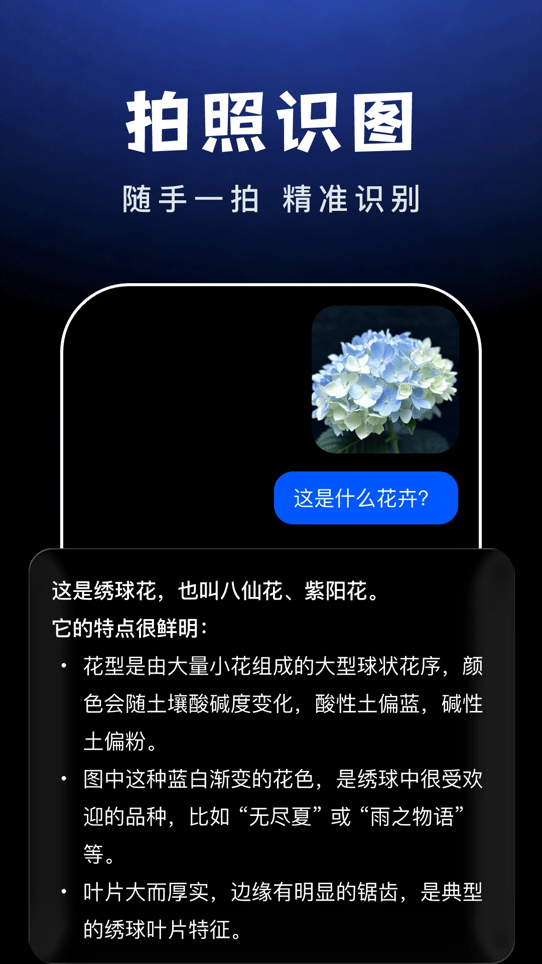 AI Agent助手截图