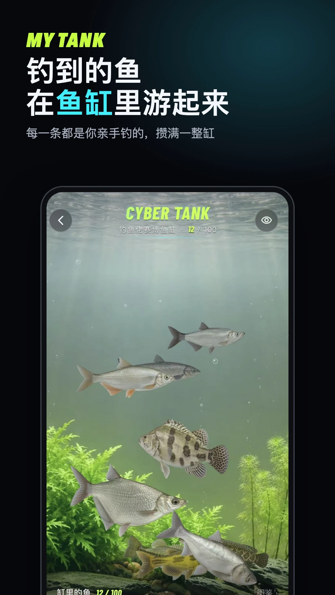 钓鱼佬截图