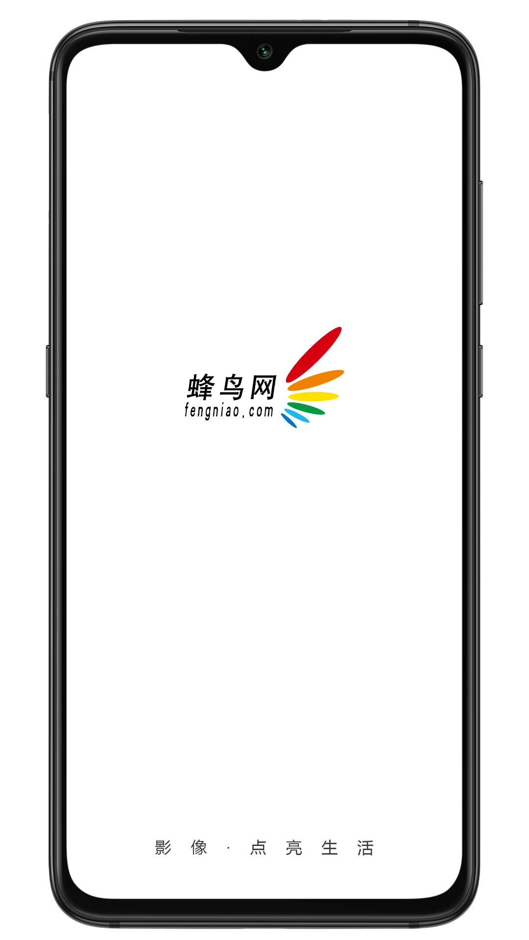 蜂鸟摄影截图
