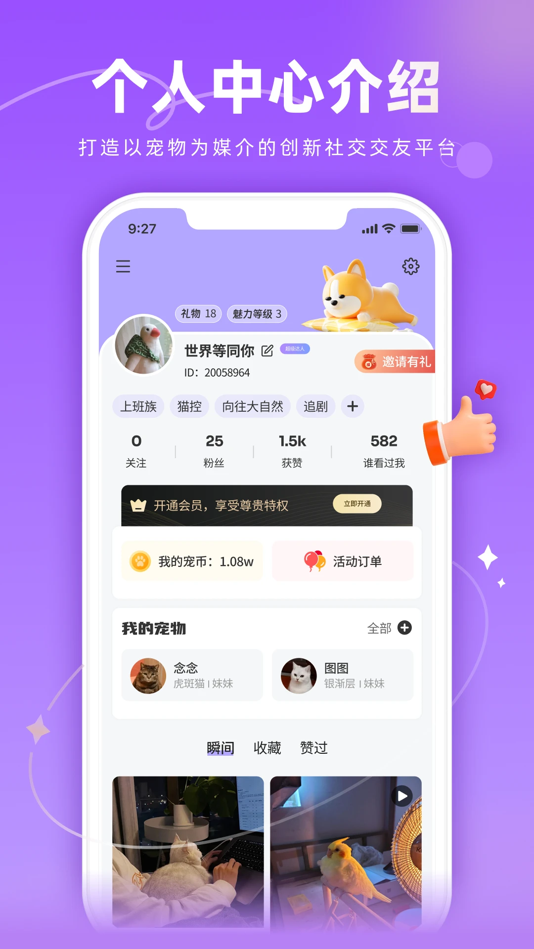 宠TA一生截图