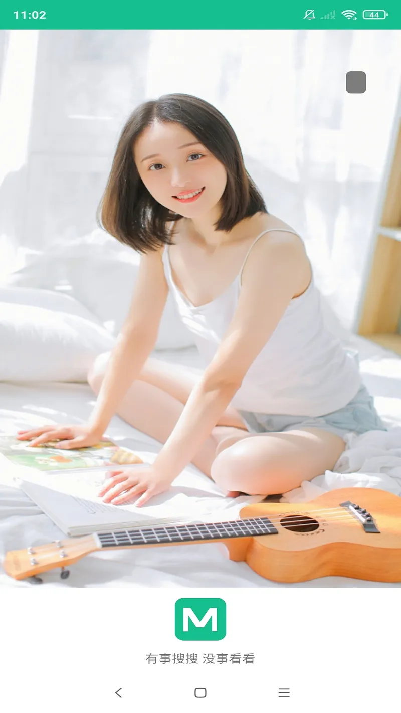 图片大师截图
