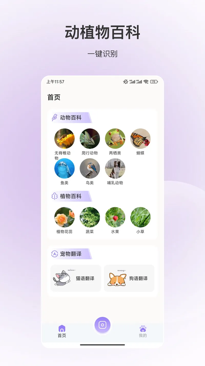 百科全书截图
