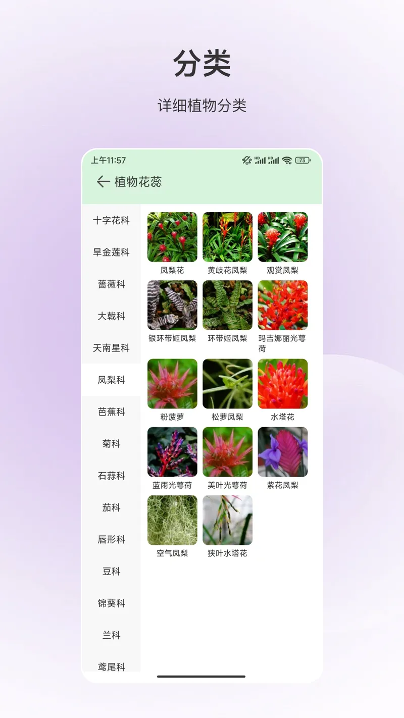 百科全书截图