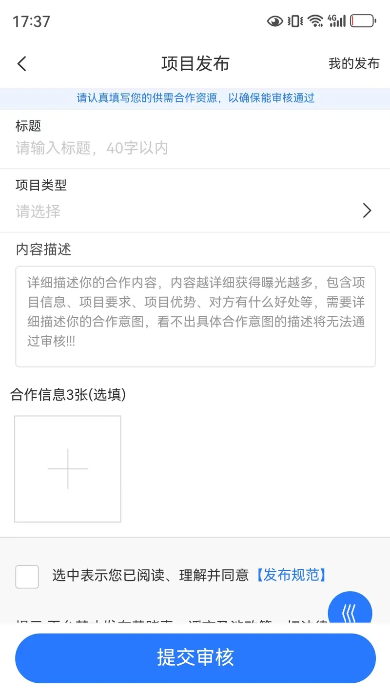 项目大师截图