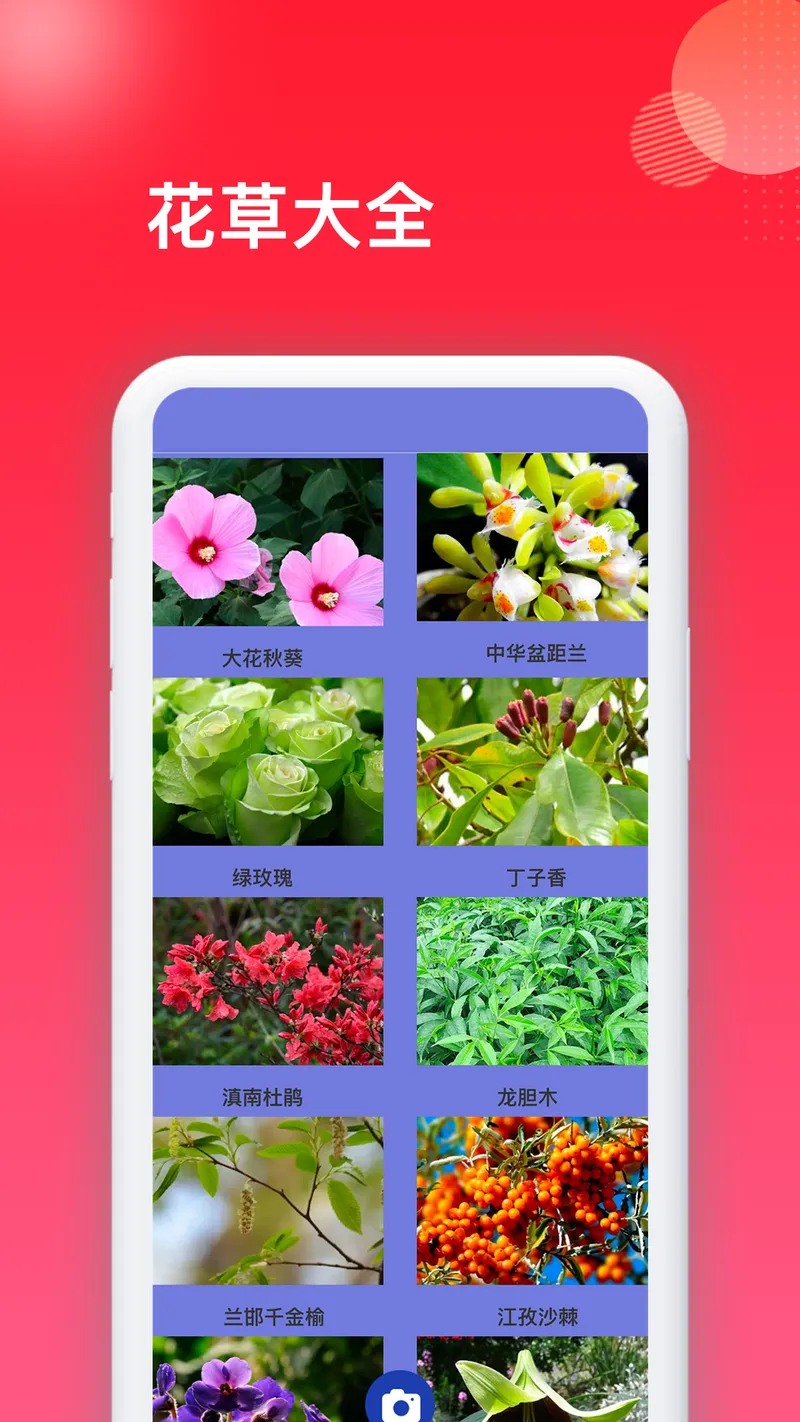花百科截图
