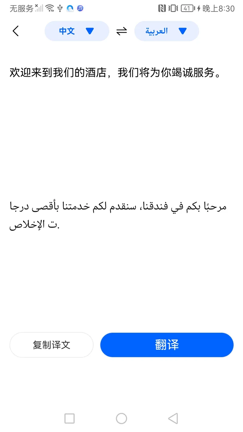 翻译助理截图