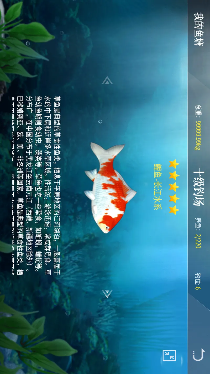 垂钓宗师截图