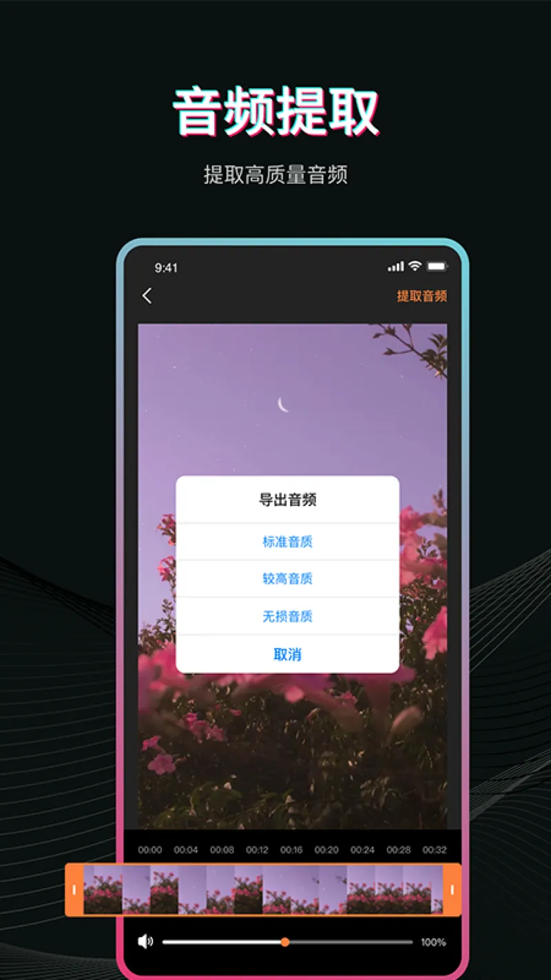 Pr视频剪辑截图