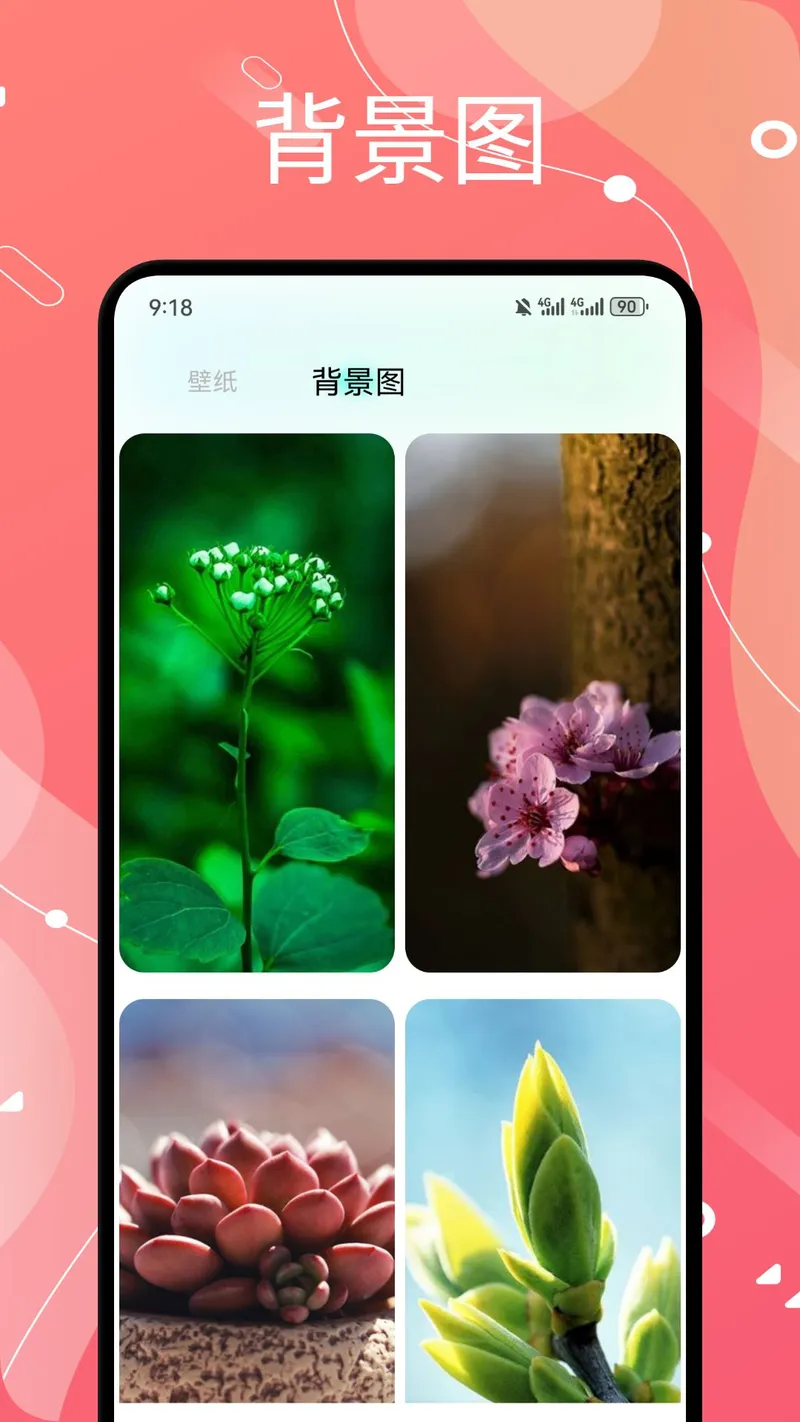 西西壁纸大全截图